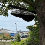 南坊園のブログ