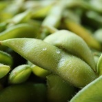 ながおか速報 -新潟県長岡市の地域情報サイト