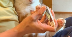 最高潮