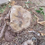 まだまだ遅くない！！・・・・のかなぁ