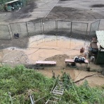 渋谷教育学園幕張高校野球部公式ブログ