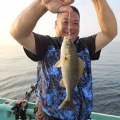 平日限定：試験的カカリ釣り乗り合い