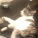 ちっともいうことをきかない