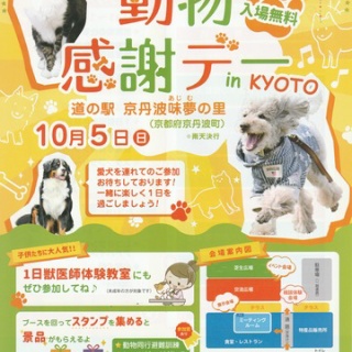 長谷川先生とちーすけのブログ