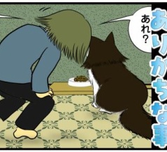 【猫との暮らし】ごはん待ちに ありがちな事