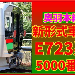 湘南色の部屋（Shonan-color train）