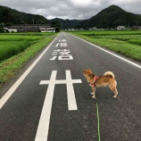 『コロナとか暑いとかで💦』の画像