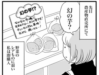 泉13号を入手したが・・・