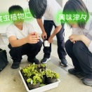 国語の先生より、ふじの国地球環境史ミュージアム