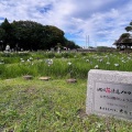 菖蒲苑④