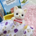 リサイクルショップ*ハチワレ赤ちゃんUK版ほか/CAFE BASEおまけマグ/購入品/シルバニア