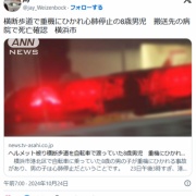 ヘルメットしてても、横断歩道でショベルカーに轢かれて、8歳児死亡