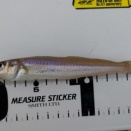 お日様待ちのリベンジ釣行