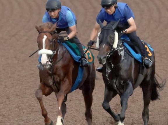 アーモンドアイ2番子プロメサアルムンドがセレクト2億超の高額馬に馬なり先着