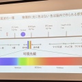 えっ、色ってセンスじゃないの？目からウロコの社内研修