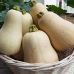 キャンピングカー　「レッツ号」　のブログ