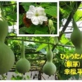 暦‐2026年9月3日