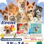 GUNDOG RESCUE CACI 活動ブログ