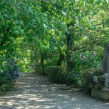 『今年も迷惑なご近所さんの話』の画像