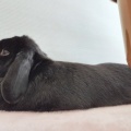 自由気ままに。