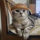 お雛様を飾りました