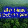 お得なクーポン毎日発行！eBay公式ショッピングサイト　Qoo10（キューテン）
