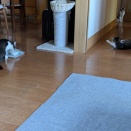 なつちゃんはごはん中ね