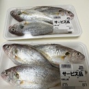 初デビューでした＆週末ご飯