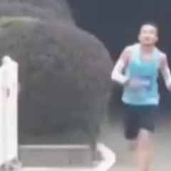 【ネコ】 そこではマラソン大会が行われていた。先頭の選手がもう少しでゴールだ！ → だが、しかし…