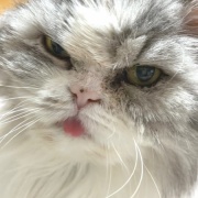 ケイとメルシーの体重測定