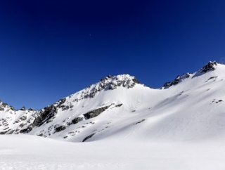 午後は少し足を伸ばして代々木公園へ向かった。桜の開花宣言が数日前に出されたばかりで、木々はまだ五分咲きにも満たないが、気の早い花見客たちがレジャーシートを広げている。
