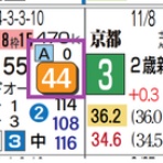 ハイブリッド競馬新聞