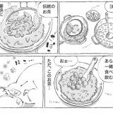 海外村の伝統の米めし。