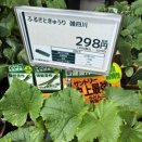 Made in 四川省？？