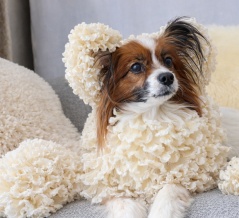 【ChatGPT】超簡単！ペットに着ぐるみを着せよう