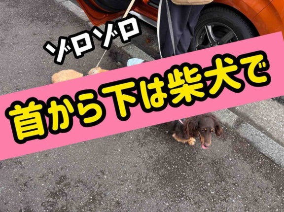２ヶ月に一度。