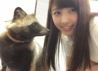 【たぬき】どっちが大和田南那か見分けがつかないんだが？