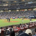 えっ・・・　無料で野球観戦！