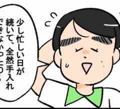 涼しい夏になりそう
