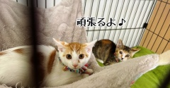 権現、西蓮のお届けでした♪