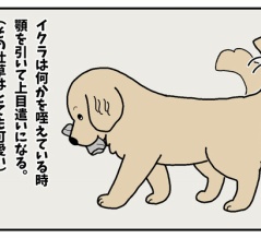 エフ漫画『叱りたくない』