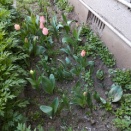 ◆プール＆水泳◆新しい展開