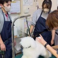 �Ƕ�γر����ͻ�🐶