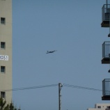 『黙る子も泣く2時間30分待ち・・・厚木基地日米親善春祭り』の画像