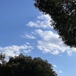 暮らしとわたし＊50代からシンプルライフ