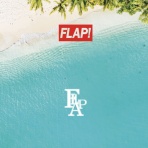 FLAP design BLOG