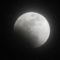 皆既月食、なんとか見れた