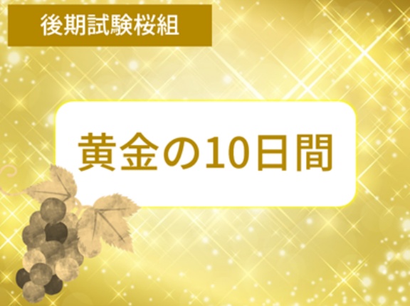 ＜黄金の10日間＞児童館