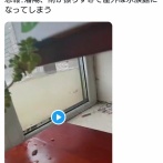 【衝撃映像】中国・瀋陽が豪雨で水没…街中を魚が泳ぐ「巨大水族館」状態に