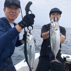 ARCADIA SALTWATER SERVICE